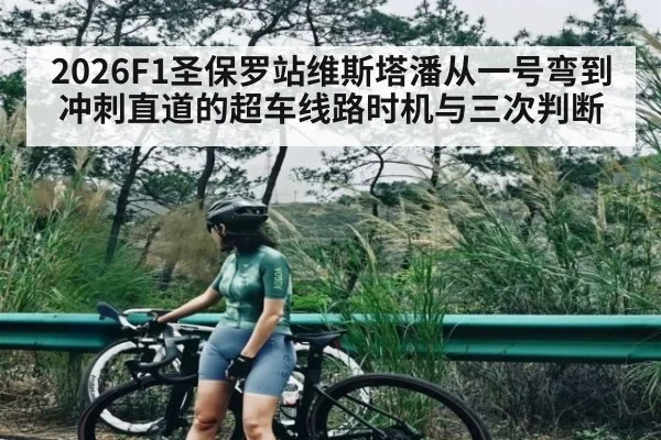 2026F1圣保罗站维斯塔潘从一号弯到冲刺直道的超车线路时机与三次判断